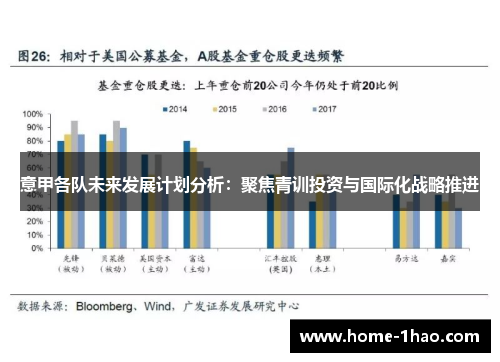 意甲各队未来发展计划分析：聚焦青训投资与国际化战略推进