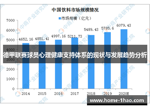 德甲联赛球员心理健康支持体系的现状与发展趋势分析