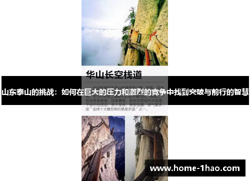 山东泰山的挑战：如何在巨大的压力和激烈的竞争中找到突破与前行的智慧