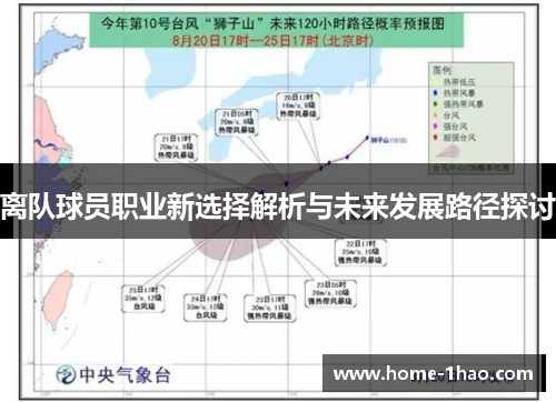 离队球员职业新选择解析与未来发展路径探讨