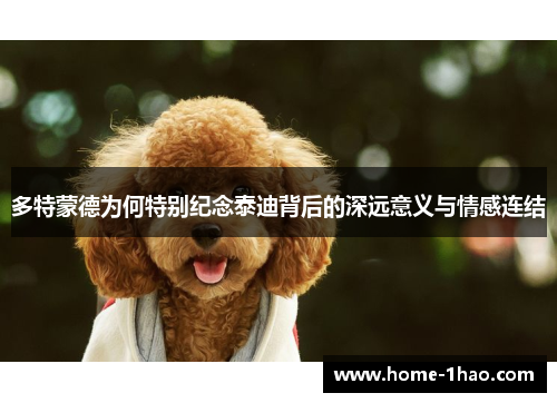 多特蒙德为何特别纪念泰迪背后的深远意义与情感连结