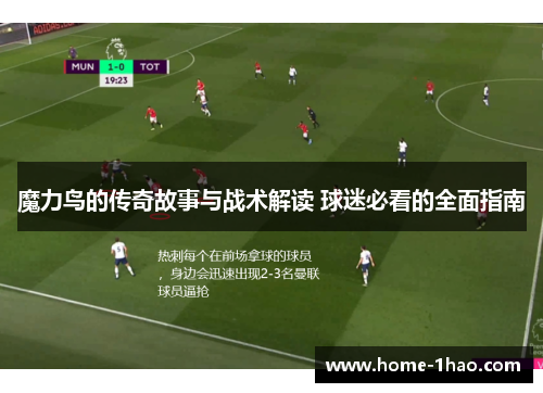 魔力鸟的传奇故事与战术解读 球迷必看的全面指南